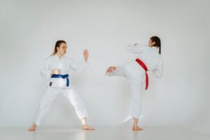 Karate Styles Explained: Shotokan, Goju-Ryu and More