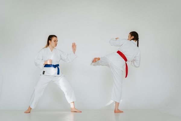 karate styles explained