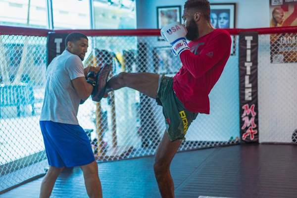 unified rules of mma